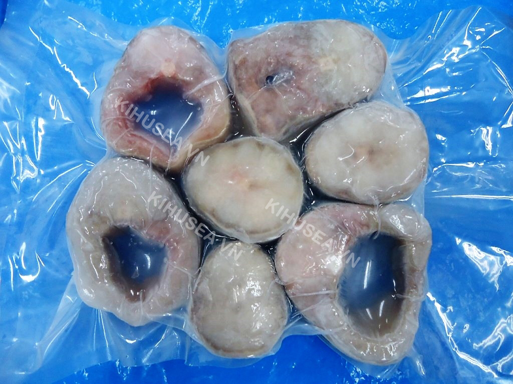 CÁ NHÁM CẮT KHOANH